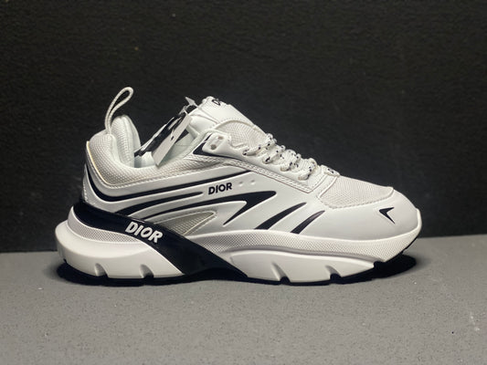 Dior Sneakers #55